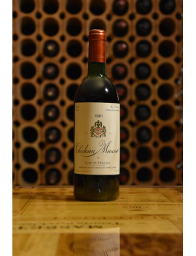 MUSAR 1981
