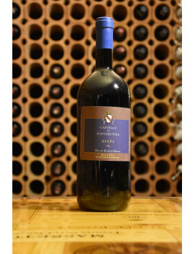 FONTERUTOLI SIEPI 1997 MG