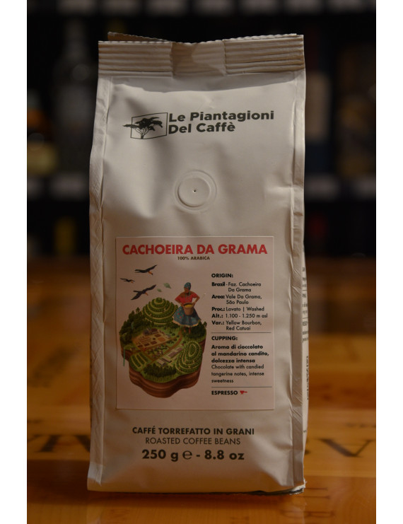 LE PIANTAGIONI DEL CAFFE´ CACHOEIRA DA GRAMA GRANI