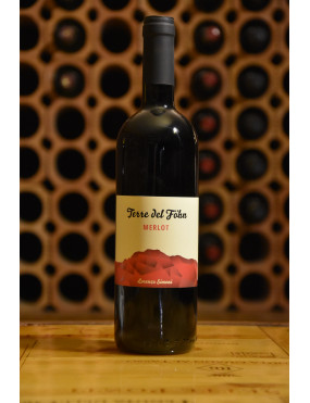 TERRE DEL FHON MERLOT 2015