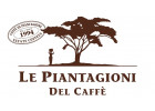 Le piantagioni del caffè