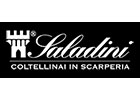 Saladini